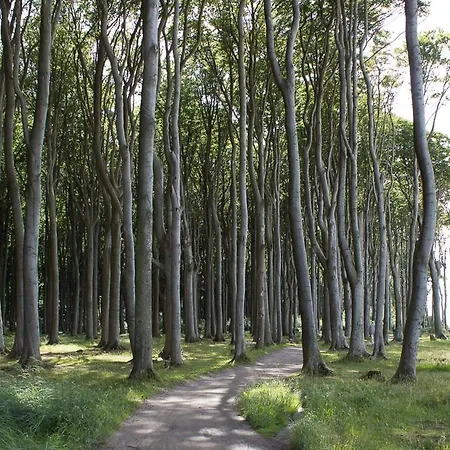 Dorothee 2 오스치바드 닌하겐