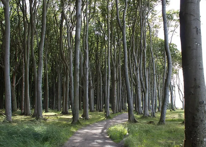 Dorothee 2 Ostseebad Nienhagen
